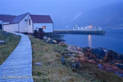 battle island labrador.